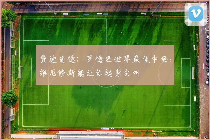 费迪南德：罗德里世界最佳中场，维尼修斯能让你起身尖叫