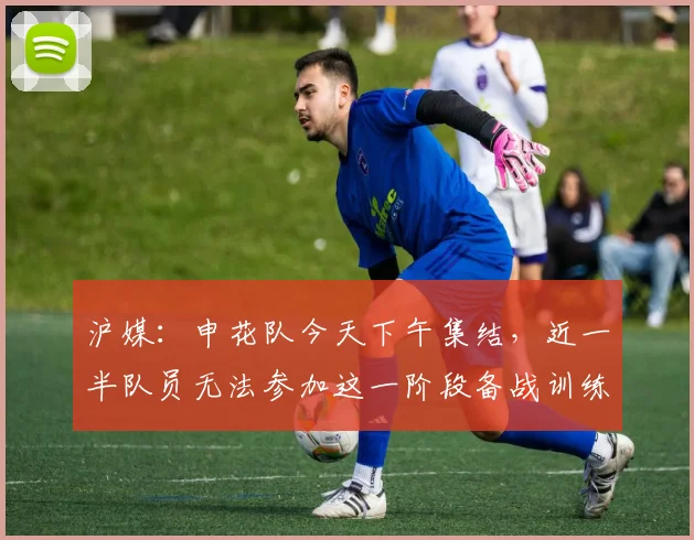 沪媒：申花队今天下午集结，近一半队员无法参加这一阶段备战训练